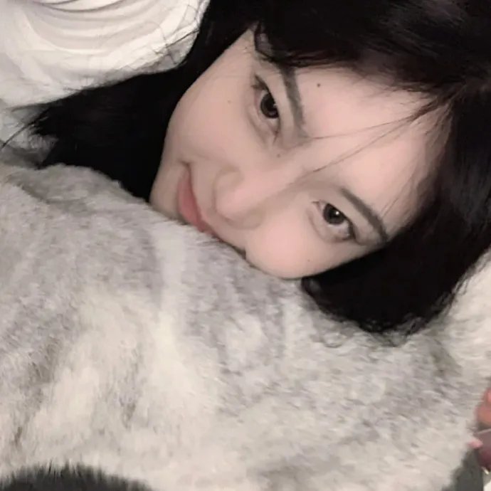 猎狐行动