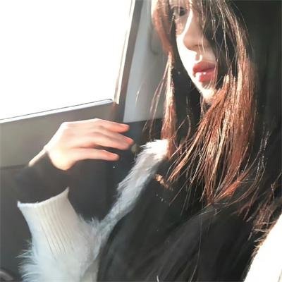 美人追